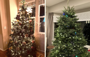 The Christmas trees of senior Sam Wai and junior Isabel Merriman. The white lights on the Wais’ tree (left) are preferred by 20% of students, while the Merrimans’ tree’s multicolored lights are preferred by 40%. (Sam Wai '25 & Isabel Merriman '26)